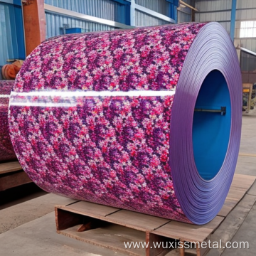 Coated Galvanized Ppgi Steel Sheet Steel Coil